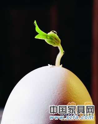 關(guān)注中國原創(chuàng)家具設計