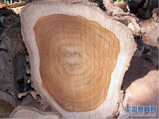 点击打开原图