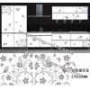 水轉(zhuǎn)印，家具水轉(zhuǎn)印，家具水移畫(huà)