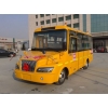 大力19座小學(xué)生校車，19座校車價(jià)格，19座校車圖片