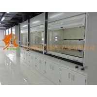 全鋼臺式通風(fēng)柜型號FJ-QGTSTFG1品牌楓津?qū)嶒?yàn)室家具