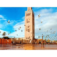 山東出國(guó)勞務(wù)價(jià)格，專業(yè)的出國(guó)勞務(wù)公司