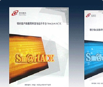 神州數(shù)碼銀?客戶端平臺宣傳冊設計